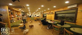 與寵物相結(jié)合的南寧咖啡廳設(shè)計