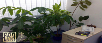 能讓員工感覺溫馨的辦公室裝修性價(jià)比裝飾