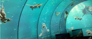 辦公室裝修可以任性到什么程度 你見過海底和空中的辦公室嗎？