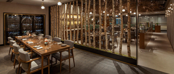 充滿生命力的創(chuàng)意餐廳設(shè)計(jì)案例 香港根須創(chuàng)意餐廳設(shè)計(jì)