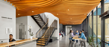 校園大廳裝修設(shè)計熱潮漸顯  國內(nèi)學校能借鑒就牛逼了